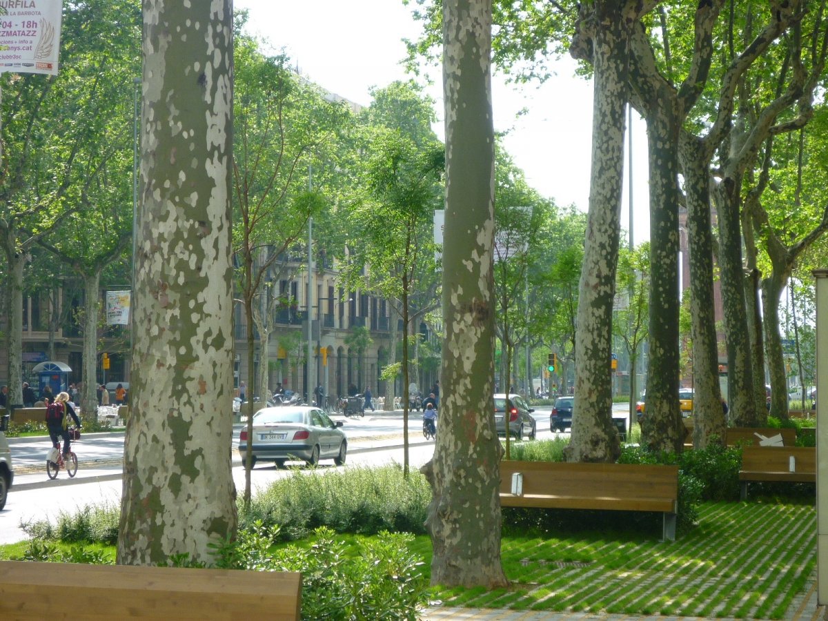 passeig st joan
